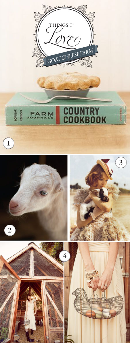 goat-cheese-farm-girl-chic-barn1