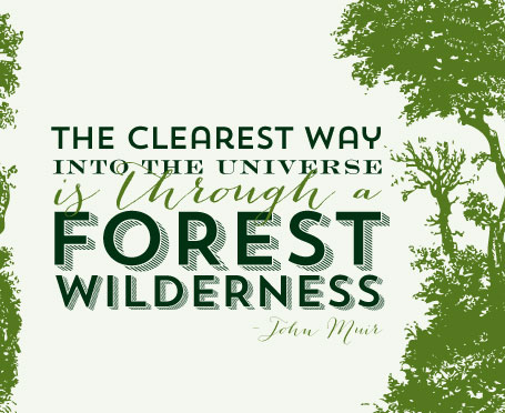 forest-wildnerness-quote