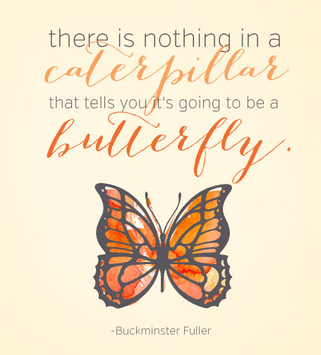 butterfly