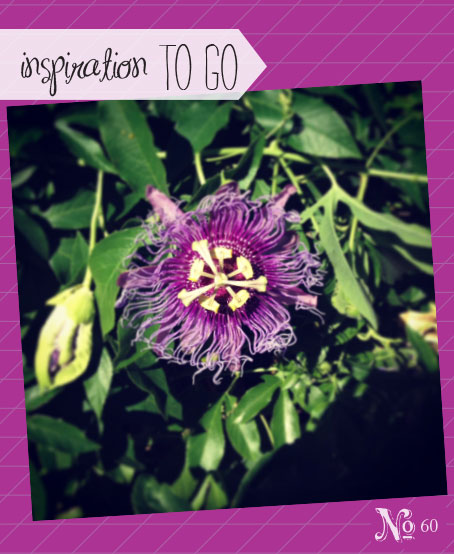 passionflowerinspired