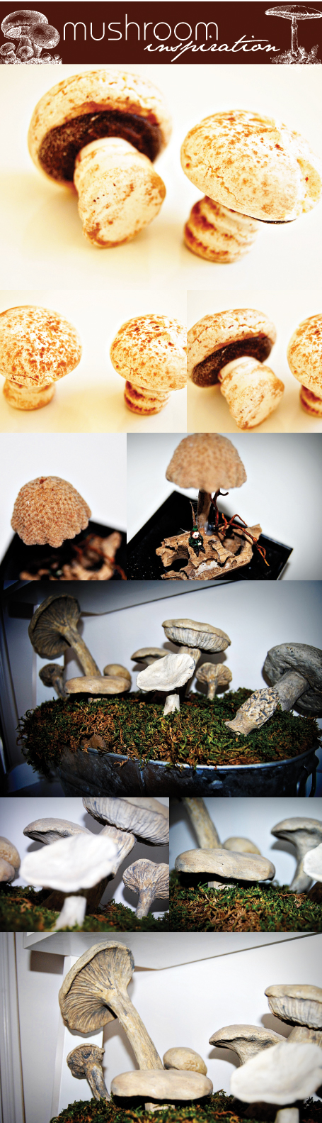 mushroom1