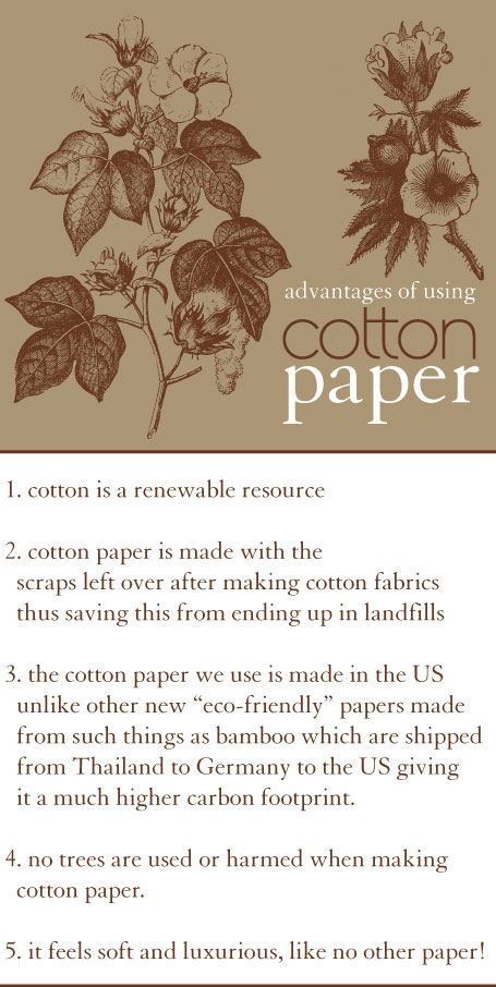 cotton