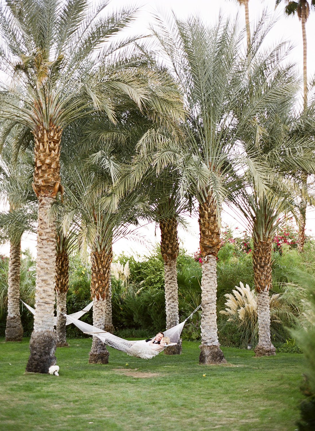 Wiley-Valentine-Parker-Palm-Springs-Wedding-Courtney-and ...